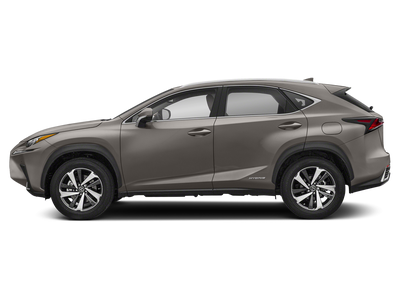 2021 Lexus NX 300h