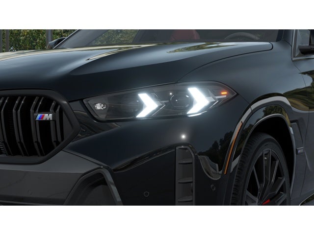 2026 BMW X6 M60i